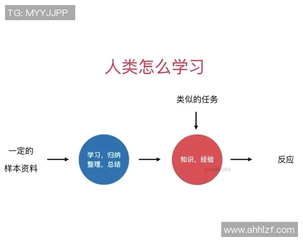 方便与阿图路的对比分析探讨生活中的选择与决策智慧